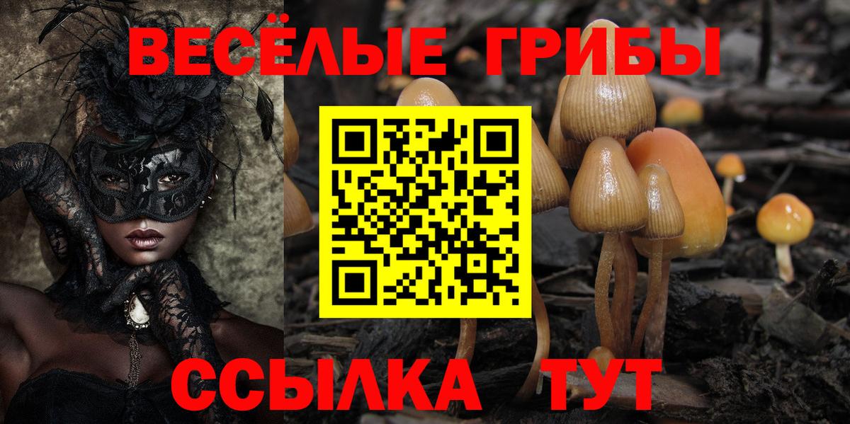 Артёмовский  Галлюциногенные грибы MAGIC MUSHROOMS  Вход с VPN 