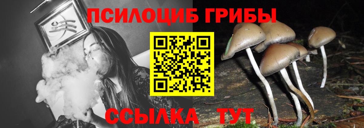 Псилоцибиновые грибы мухоморы Артёмовский